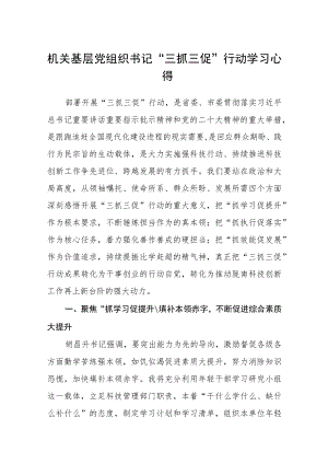 2023机关基层党组织书记“三抓三促”行动学习心得(精选8篇).docx