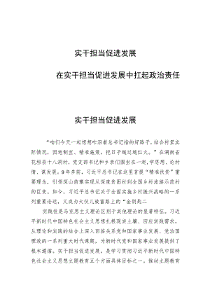 2023下半年主题教育“实干担当促进发展”专题学习心得体会感想研讨发言材料4篇.docx