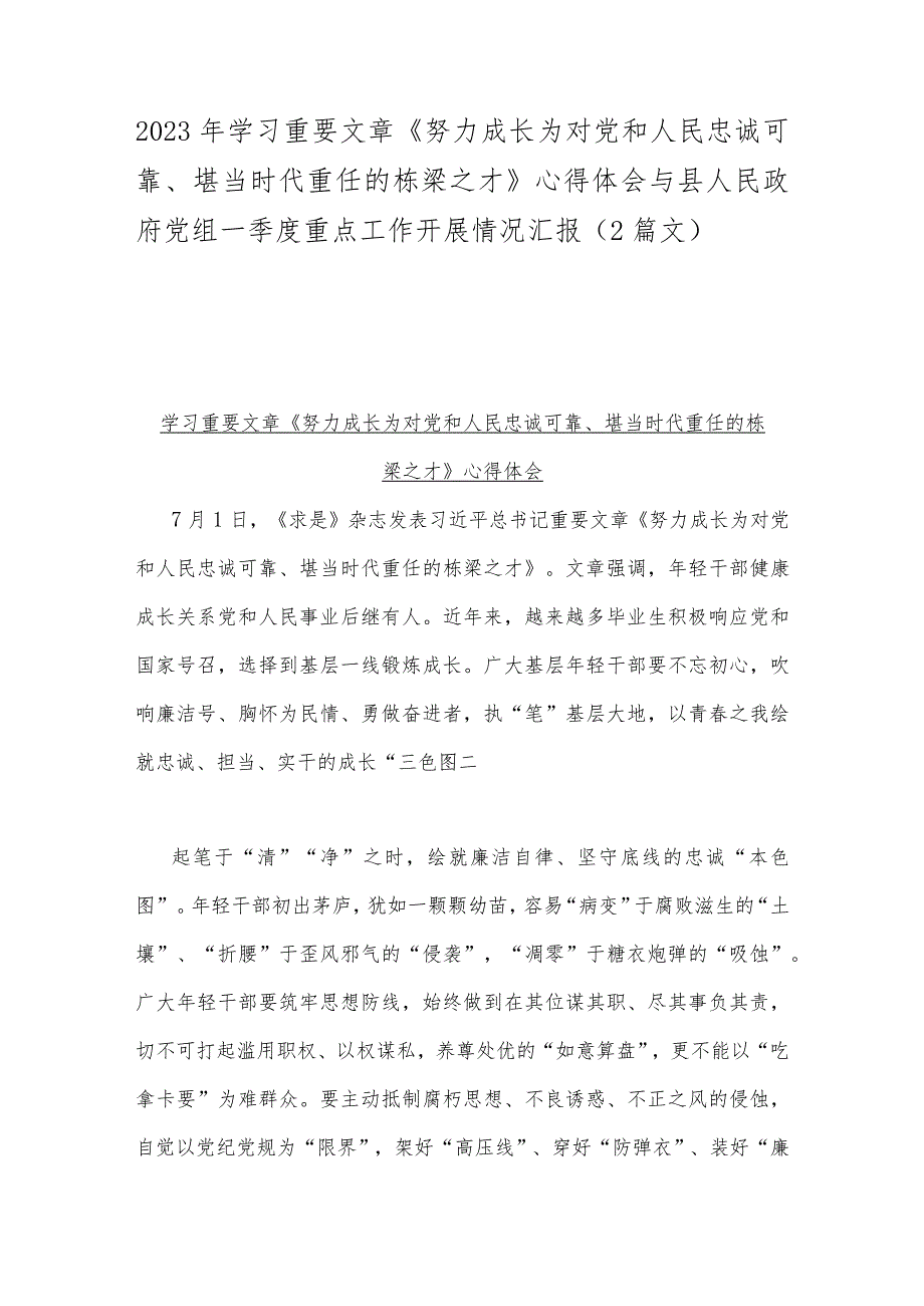 2023年学习重要文章《努力成长为对党和人民忠诚可靠、堪当时代重任的栋梁之才》心得体会与县人民政府党组一季度重点工作开展情况汇报（2篇文）.docx_第1页