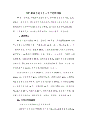 2023年度总河长个人工作述职报告.docx