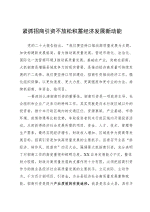 招商引资研讨发言.docx