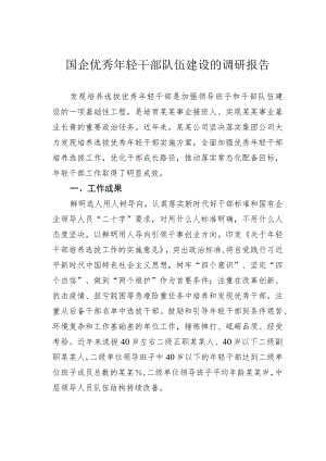 国企优秀年轻干部队伍建设的调研报告.docx