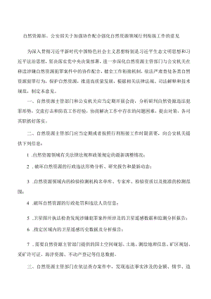 自然资源部、公安部关于加强协作配合强化自然资源领域行刑衔接工作的意见.docx