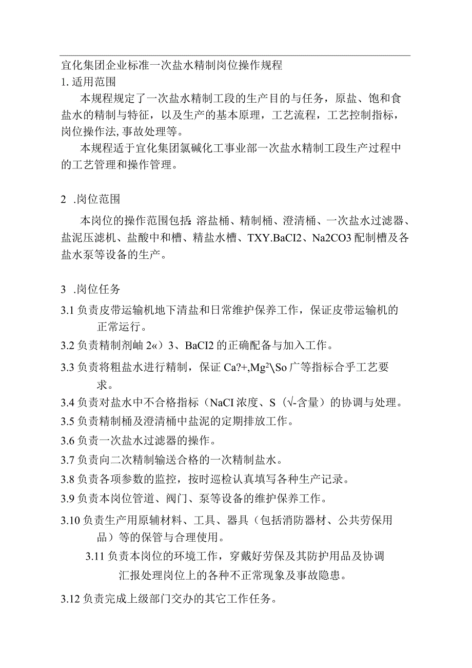 集团有限责任公司企业标准 一次盐水岗位操作规程.docx_第2页