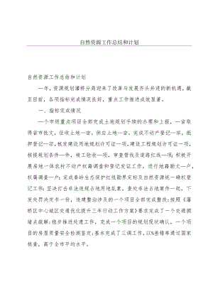 自然资源工作总结和计划.docx