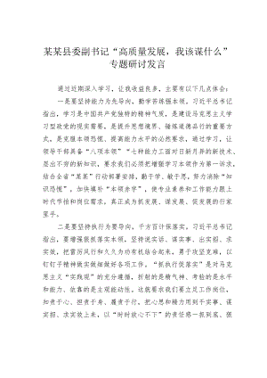 某某县委副书记“高质量发展我该谋什么”专题研讨发言.docx