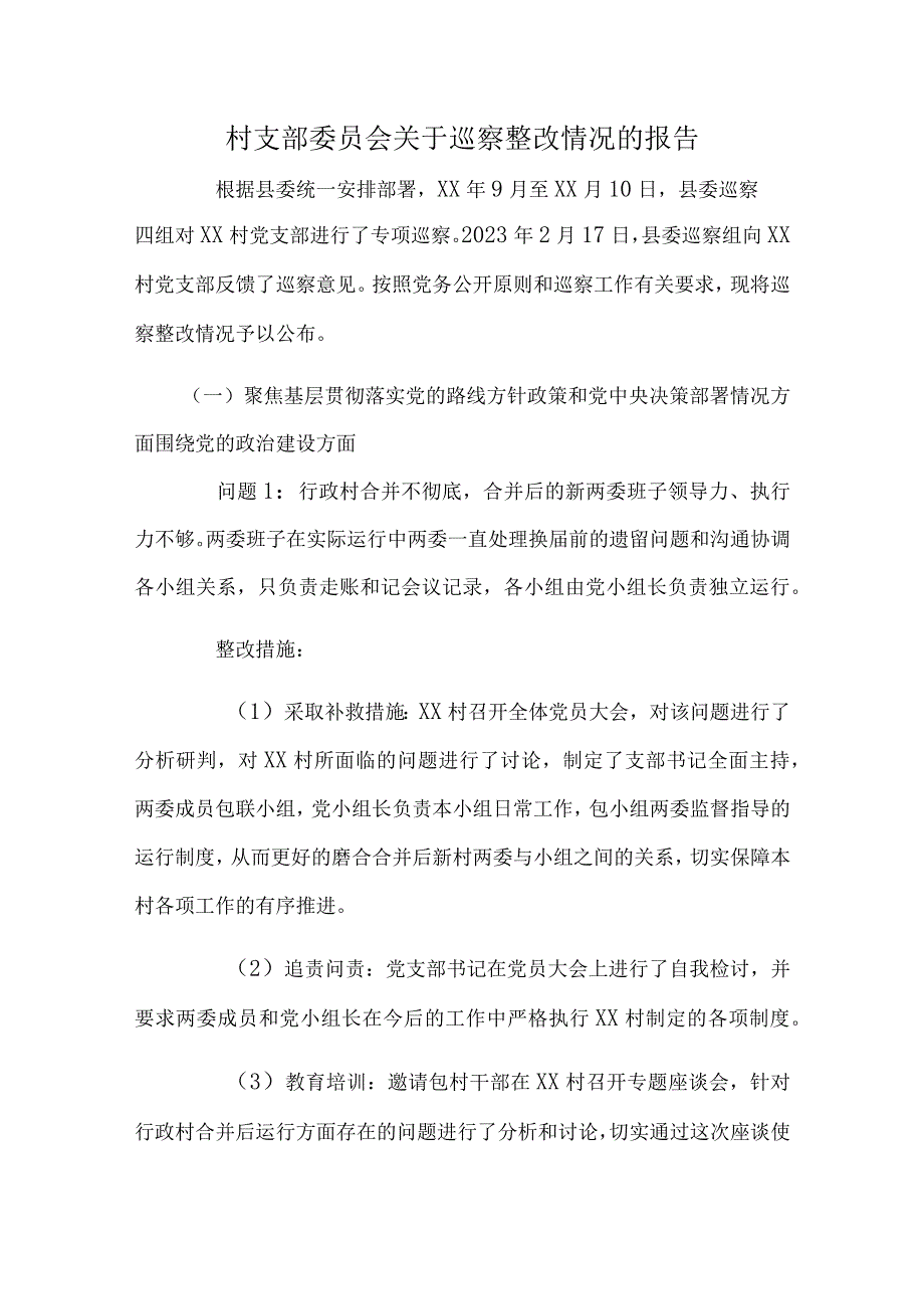 村支部委员会关于巡察整改情况的报告.docx_第1页