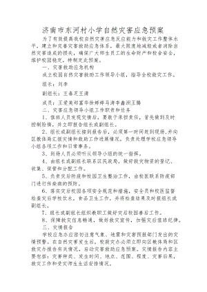 济南市东河村小学自然灾害应急预案.docx