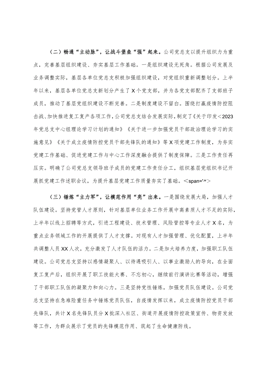 XX公司党总支2023年上半年党建工作总结及下半年计划.docx_第2页