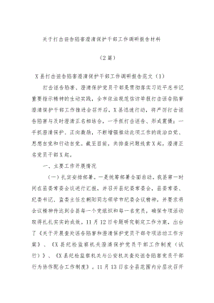 (2篇)关于打击诬告陷害澄清保护干部工作调研报告材料.docx