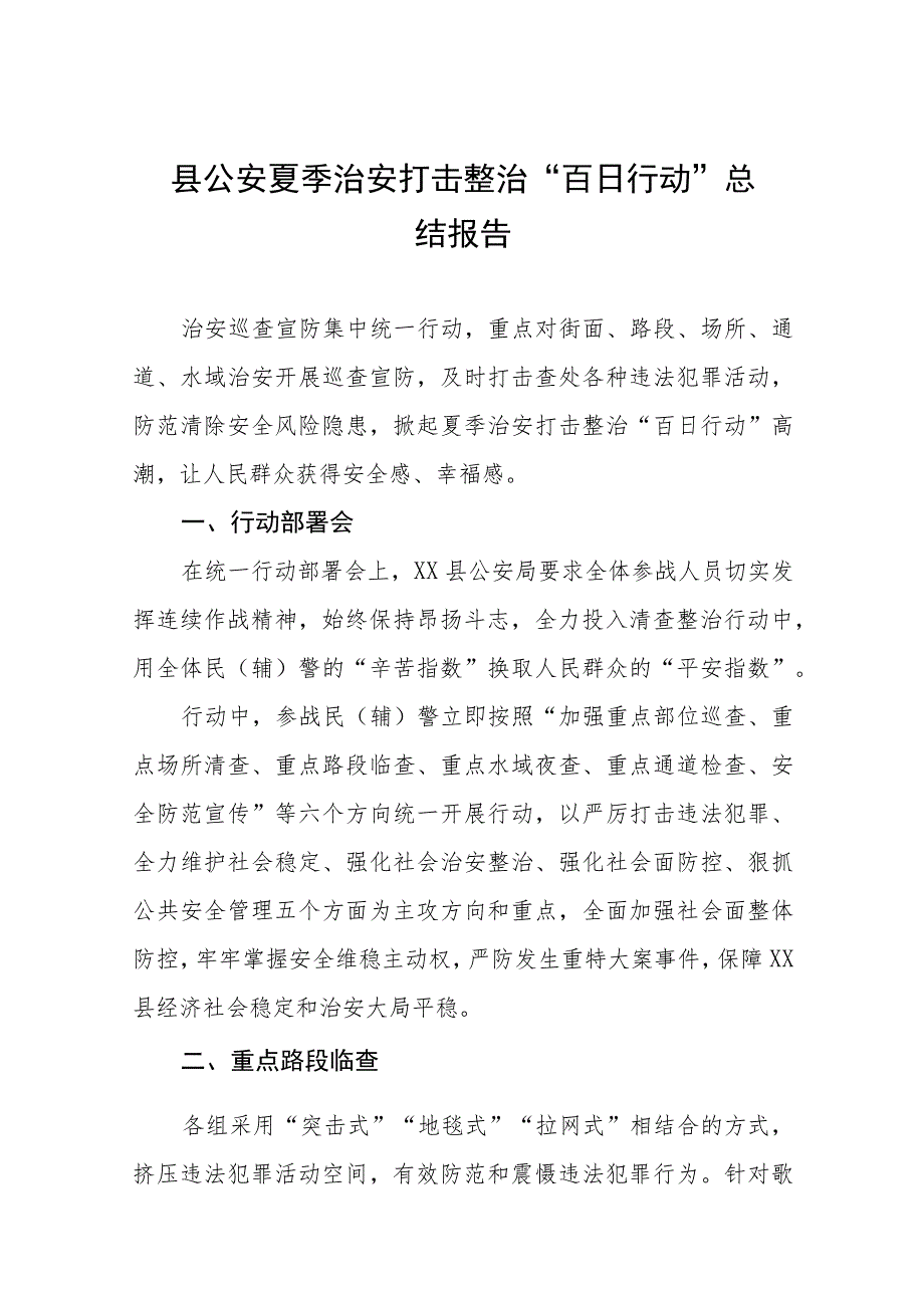 2023年市公安局开展夏季治安打击整治“百日行动”进展情况汇报四篇.docx_第1页