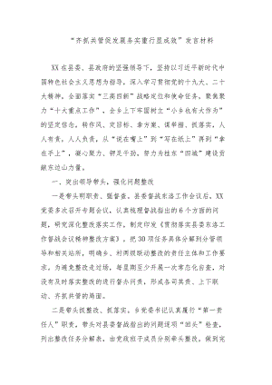 “齐抓共管促发展 务实重行显成效”发言材料.docx