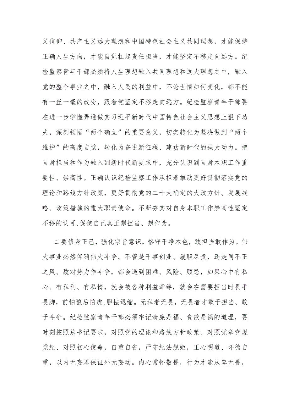 2篇纪检监察干部发言：奋进新时代做忠诚、干净、担当的青年纪检监察干部.docx_第2页