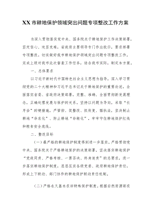 XX市耕地保护领域突出问题专项整改工作方案.docx