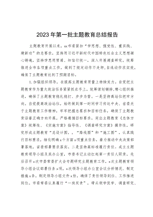 2023年第一批主题教育总结报告.docx