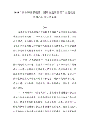 2023“凝心铸魂强根基、团结奋进新征程”主题教育学习心得体会共6篇.docx