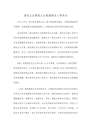 国有企业聚焦主业做强做优心得体会.docx