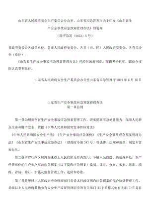 山东省人民政府安全生产委员会办公室、山东省应急管理厅关于印发《山东省生产安全事故应急预案管理办法》的通知.docx