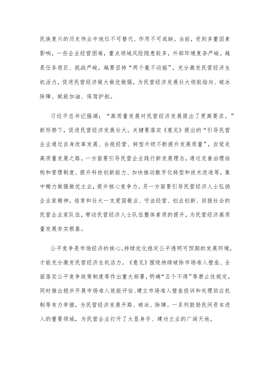 宣传贯彻《中共中央国务院关于促进民营经济发展壮大的意见》发言稿.docx_第2页