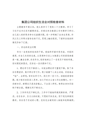 集团公司组织生活会对照检查材料.docx