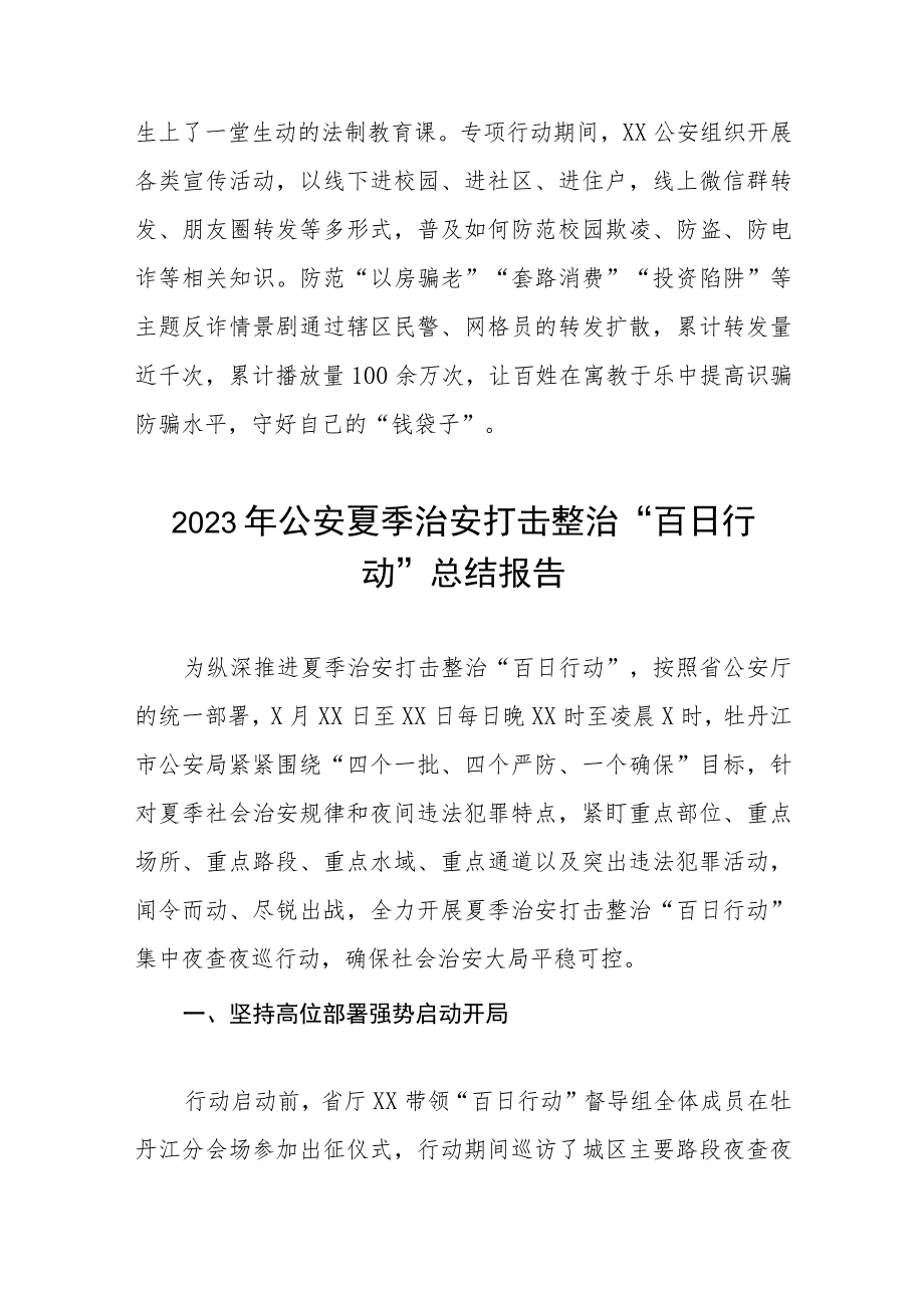 公安夏季治安打击整治“百日行动”工作总结四篇.docx_第3页