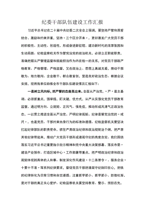 纪委干部队伍建设工作汇报.docx