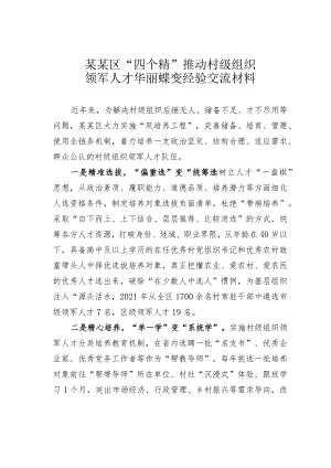 某某区“四个精”推动村级组织领军人才华丽蝶变经验交流材料.docx