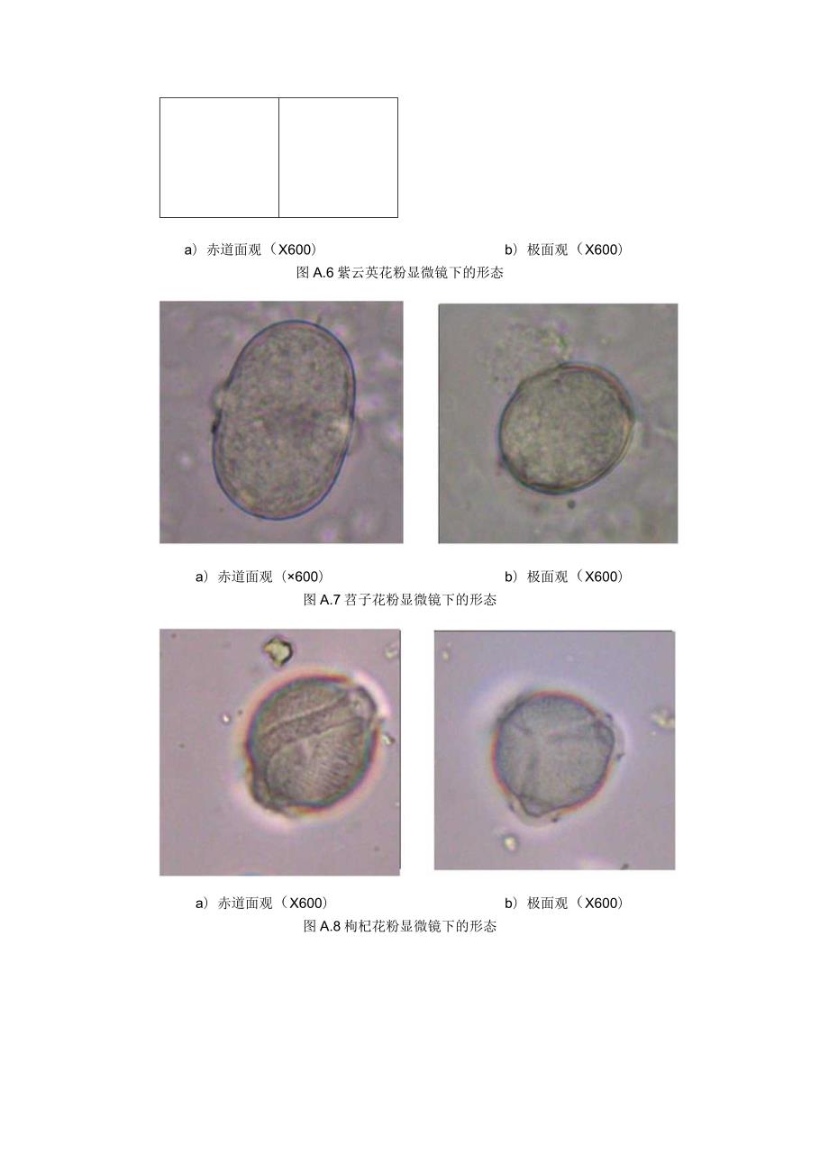 常见蜜源植物花粉形态.docx_第3页