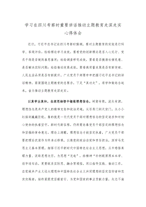 学习在四川考察时重要讲话推动主题教育走深走实心得体会.docx