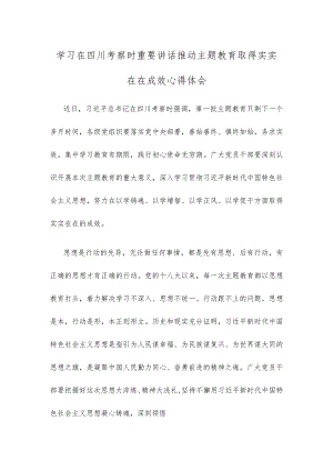 学习在四川考察时重要讲话推动主题教育取得实实在在成效心得体会.docx