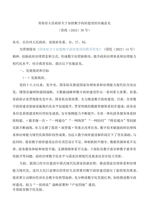 青海省人民政府关于加快数字政府建设的实施意见.docx