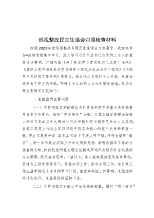 巡视整改民主生活会对照检查材料.docx