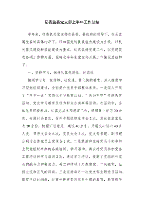 纪委监委党支部上半年工作总结.docx