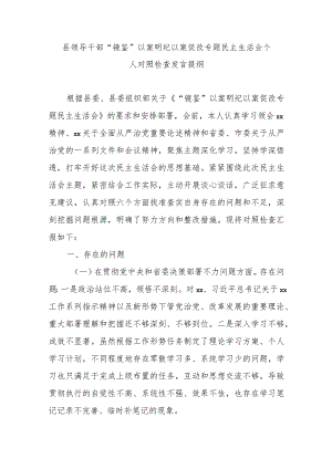 县领导干部“镜鉴”以案明纪以案促改专题民主生活会个人对照检查发言提纲.docx