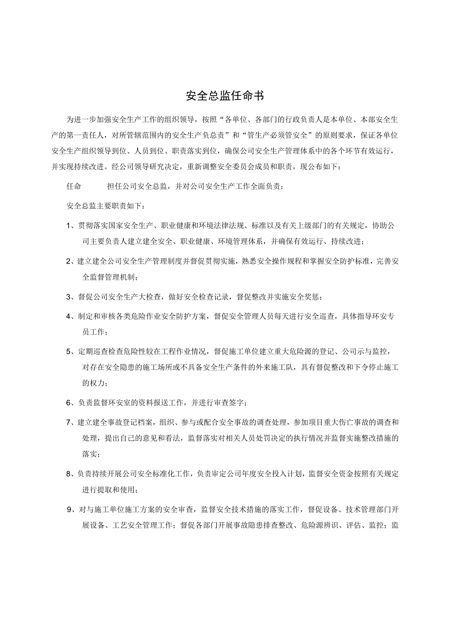 安全总监任命书.docx_第1页