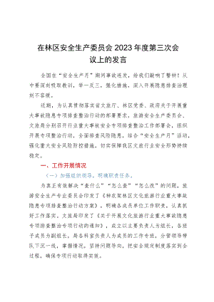 在林区安全生产委员会会议上的发言.docx