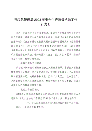 县应急管理局2023年安全生产监督执法工作计划.docx