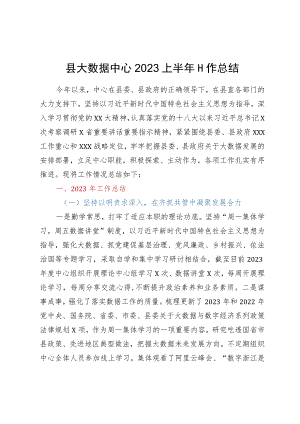 县大数据中心2023上半年工作总结.docx