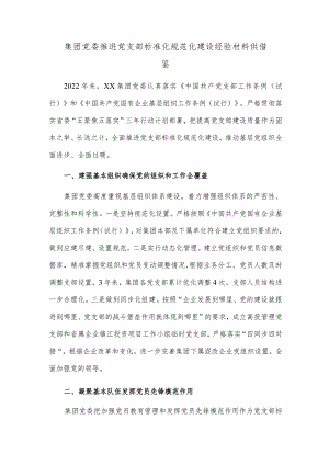 集团党委推进党支部标准化规范化建设经验材料供借鉴.docx