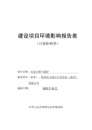 应急天然气锅炉环评报告表.docx