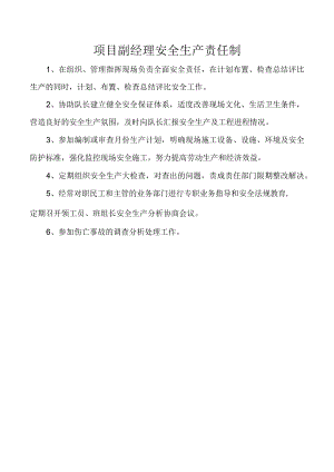 项目副经理安全生产责任制.docx