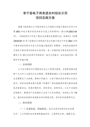 阜宁县电子商务进农村综合示范项目实施方案.docx