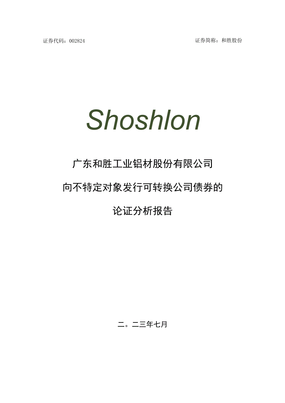 和胜股份：向不特定对象发行可转换公司债券的论证分析报告.docx_第1页