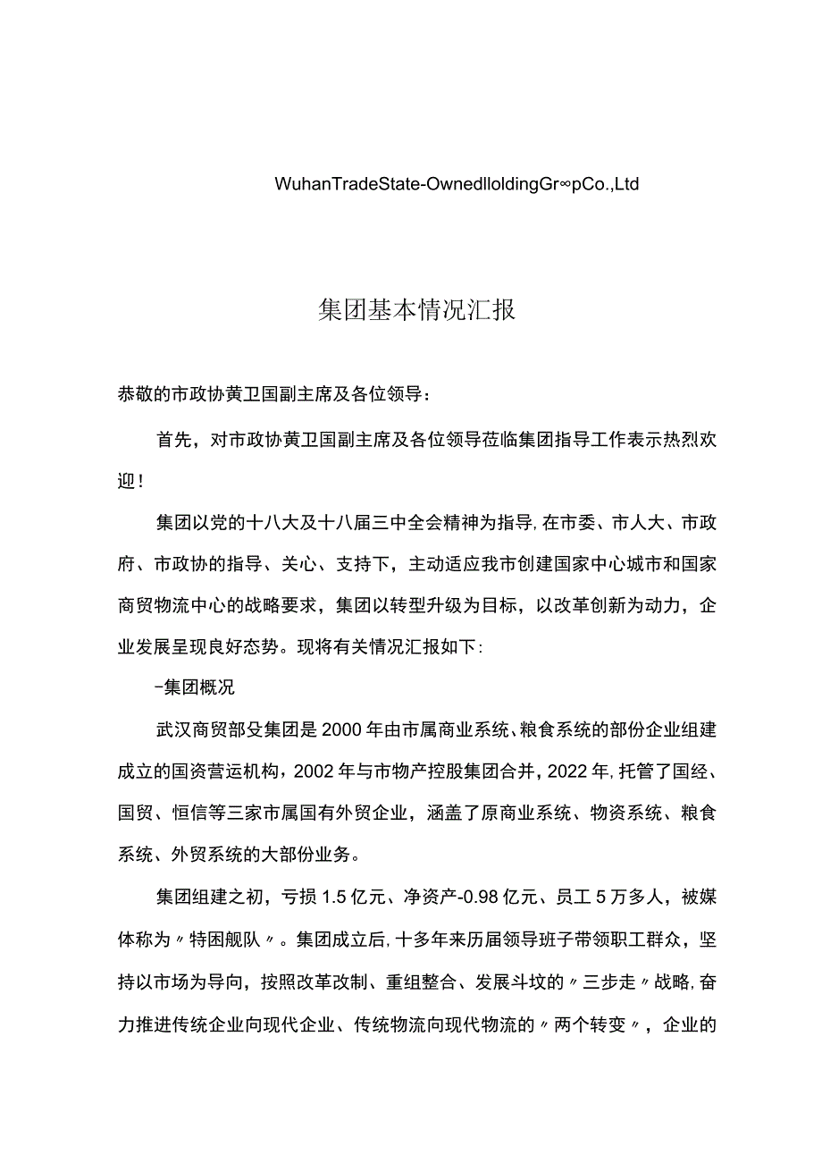 集团基本情况汇报.docx_第1页