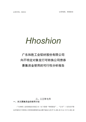 和胜股份：向不特定对象发行可转换公司债券募集资金使用的可行性分析报告.docx