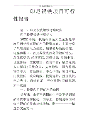 印尼镍铁项目可行性报告.docx