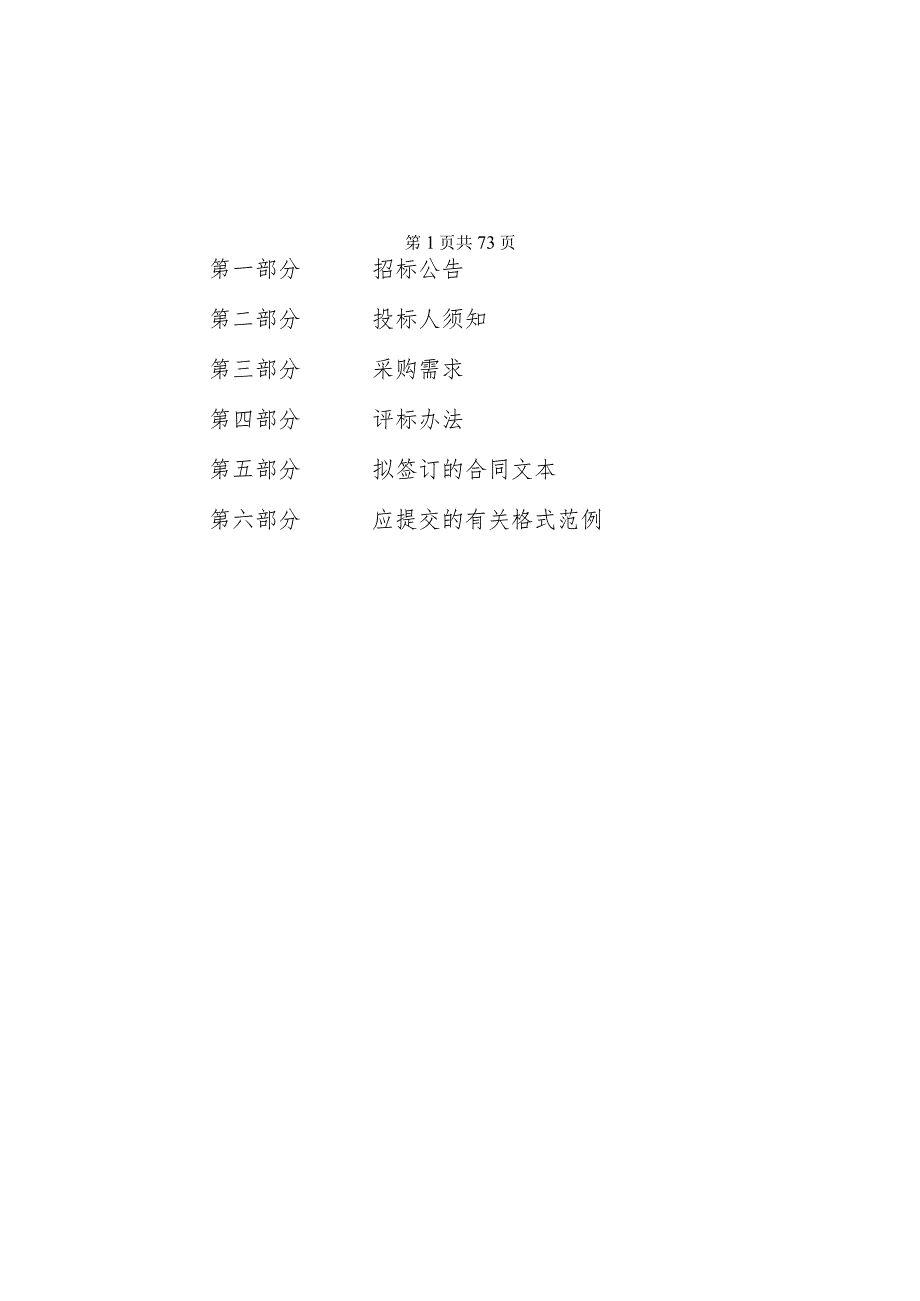 重点行业领域排查治理社会化服务采购项目招标文件.docx_第2页