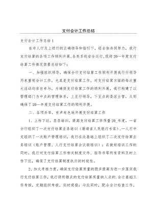 支付会计工作总结.docx