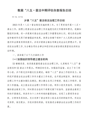 数篇“八五”普法中期评估自查报告总结.docx