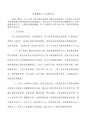 任前廉政个人检查发言.docx